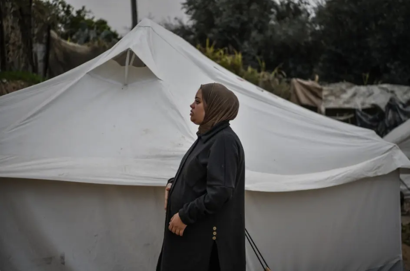 Según estimaciones de la ONU, uno de cada cuatro habitantes de Gaza padece hambre, incluidas 11.500 mujeres embarazadas.