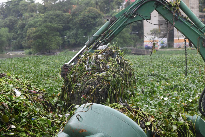Acumulación de lilias y basura en el puente Flotante que comunica al Distrito Nacional con Santo Domingo Este, por los estragos de la tormenta Melissa