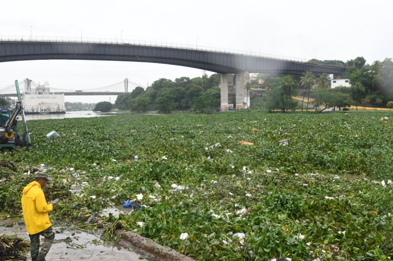 Acumulación de lilias y basura en el puente Flotante que comunica al Distrito Nacional con Santo Domingo Este, por los estragos de la tormenta Melissa