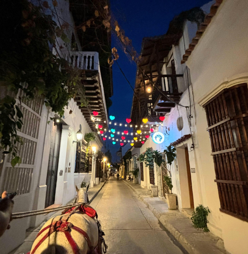 Paseo nocturno en coche de caballos