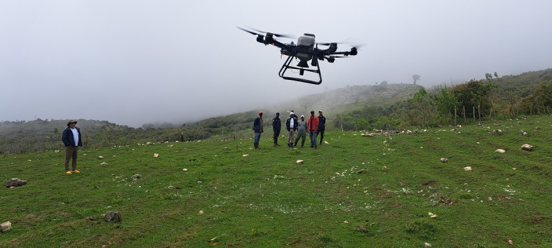 Siembra de semillas en Los Arroyos el 6 mayo de 2025