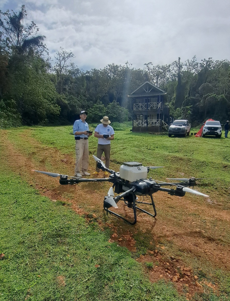 Para la siembra, se usó un dron DJI Mavic 3 para los análisis multiespectrales y un dron DJI T30 para las labores de reforestación.