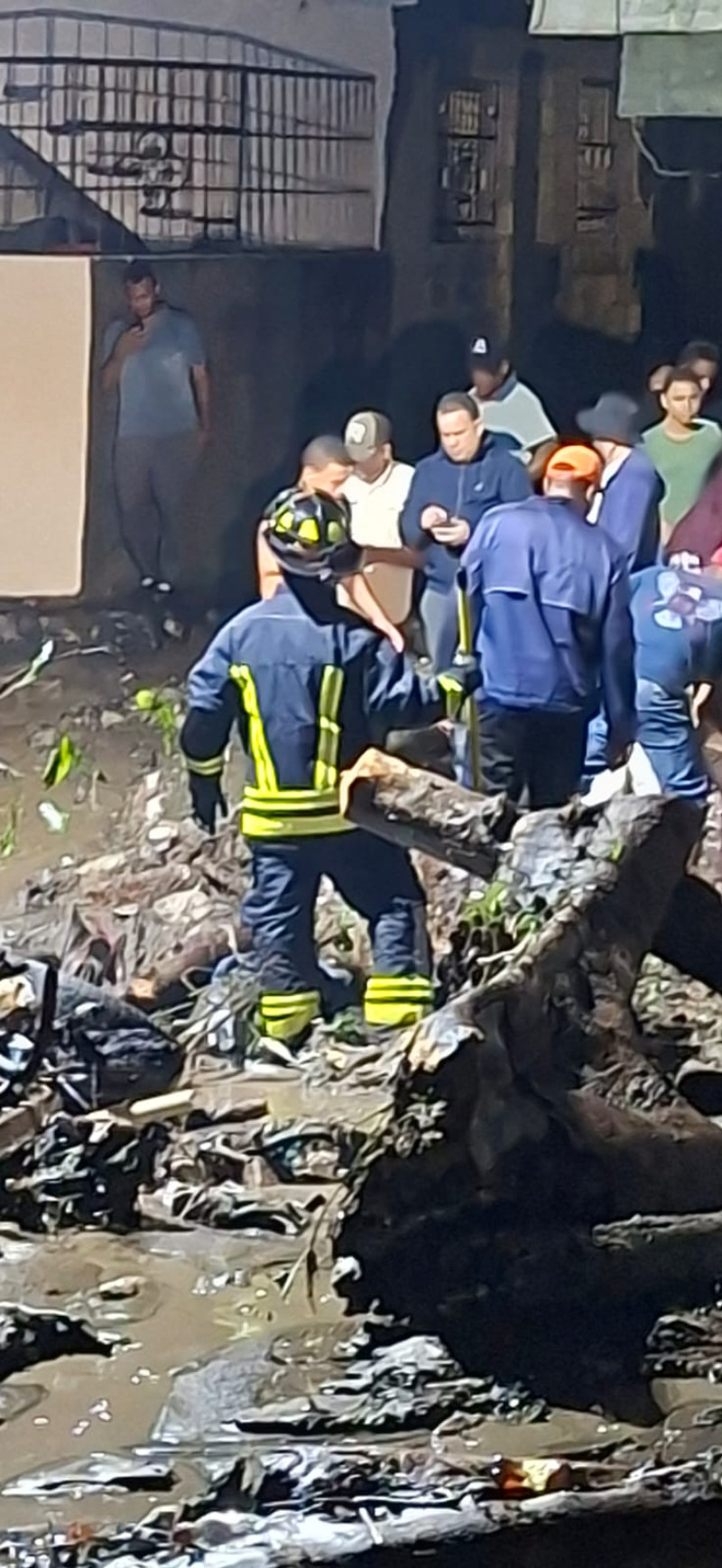 Labores del Cuerpo de Bomberos en San José de Ocoa ante la caída de un árbol.