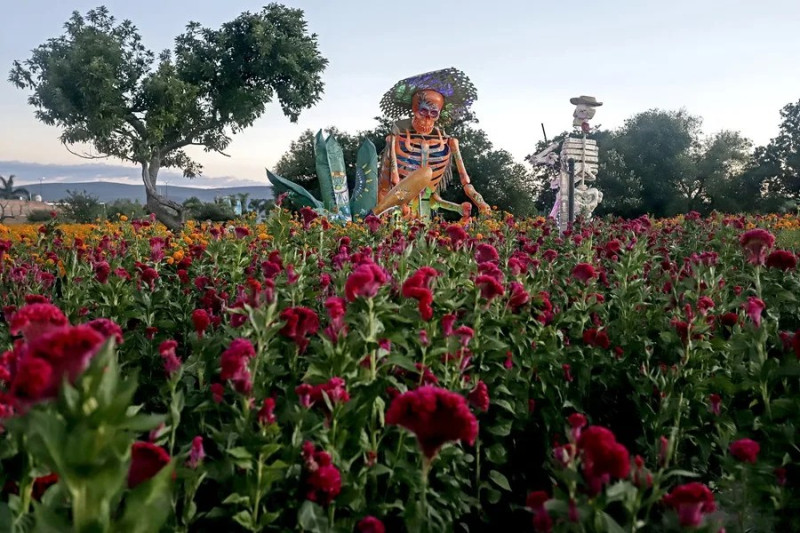 Fotografía de calaveras monumentales, en el municipio de Atlixco, en Puebla (México). EFE/ Hilda Ríos