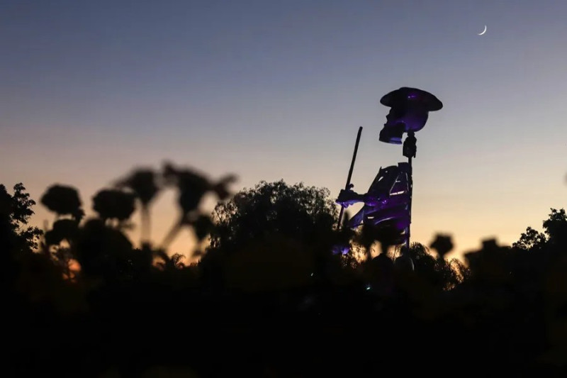 Fotografía que muestra una calavera monumental en un campo de flores de cempasúchil, en el municipio de Atlixco, en Puebla (México). EFE/ Hilda Ríos