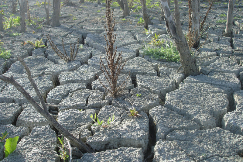 El informe del Pnuma analiza un escenario de "acción de mitigación rápida a partir de 2025".