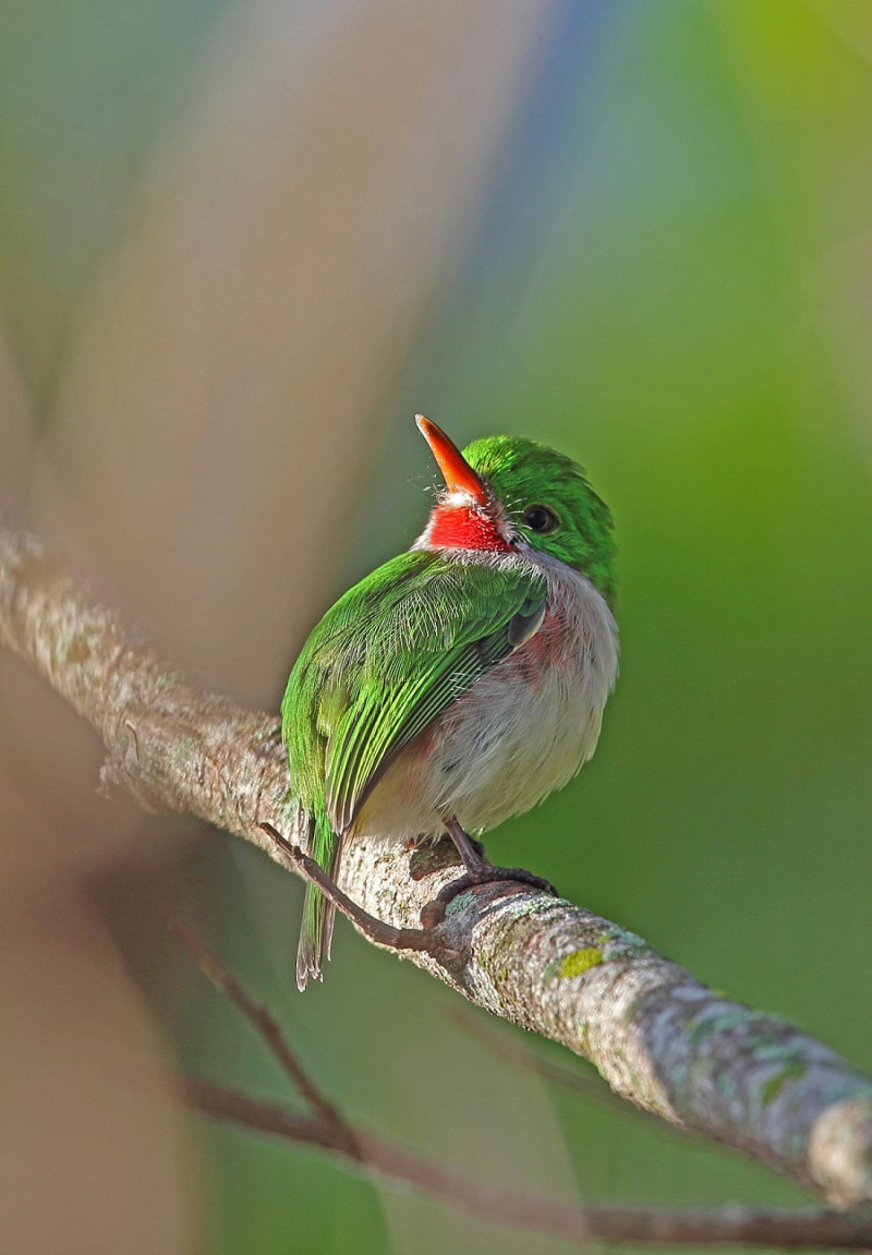 ¿Cómo se prueba el daño de una extracción de agregados en la dinámica de una cuenca? ¿Qué mide un inventario de biodiversidad cuando se habla de impactos irreversibles?