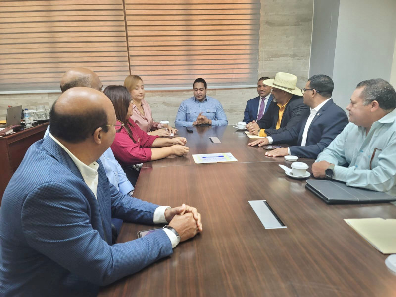 Riverón en la Comisión Permanente de Asuntos Fronterizos de la Cámara Baja