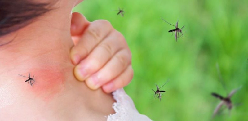 Las provincias con más casos de malarias son Azua, San Juan y Elías Piña.