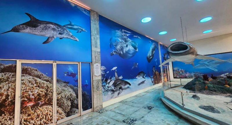 El mural se puede apreciar en el primer piso del museo.
