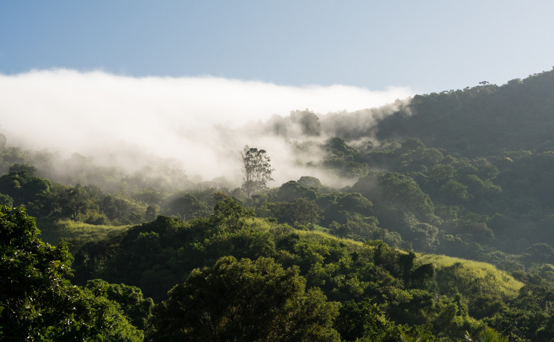 Forman parte de Madre de las Aguas Madre tres reservas científicas, dos monumentos naturales y dos reservas forestales.
