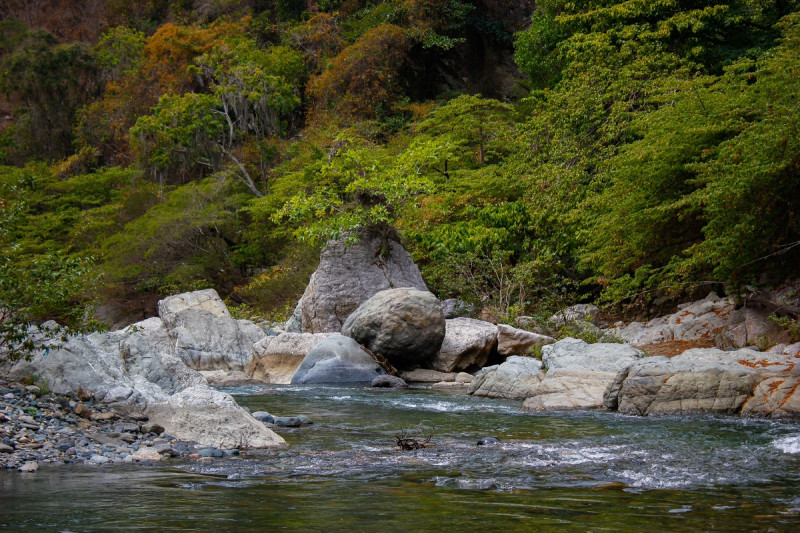 Como consultora de la empresa colomboalemana GITEC, June acompaña a las unidades coordinadoras y al Ministerio de Medio Ambiente en el montaje del sistema de gobernanza de la reserva de biosfera Madre de las Aguas.