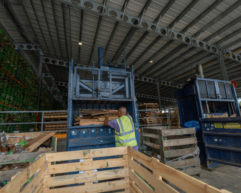 Colocando pallets de madera en maquina para deshacer.