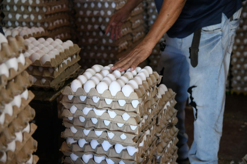 El precio del pollo entre RD$75 y RD$85 la libra.