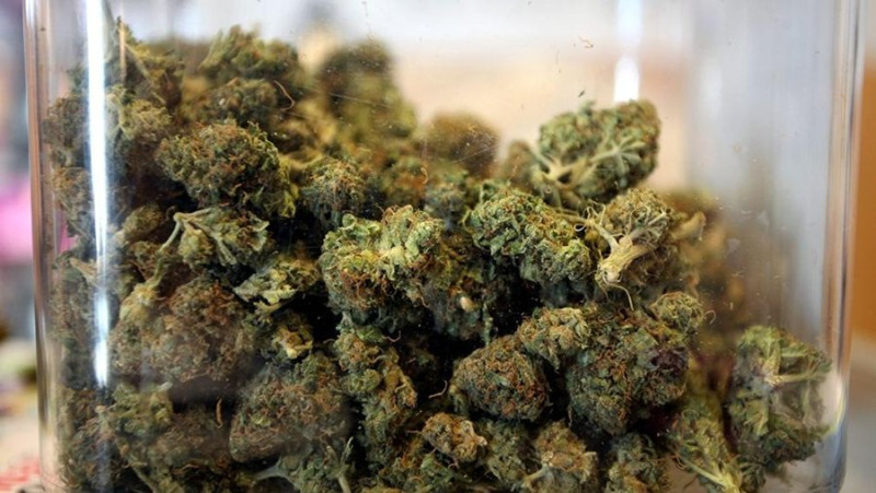 La marihuana incautada en Paraguay.