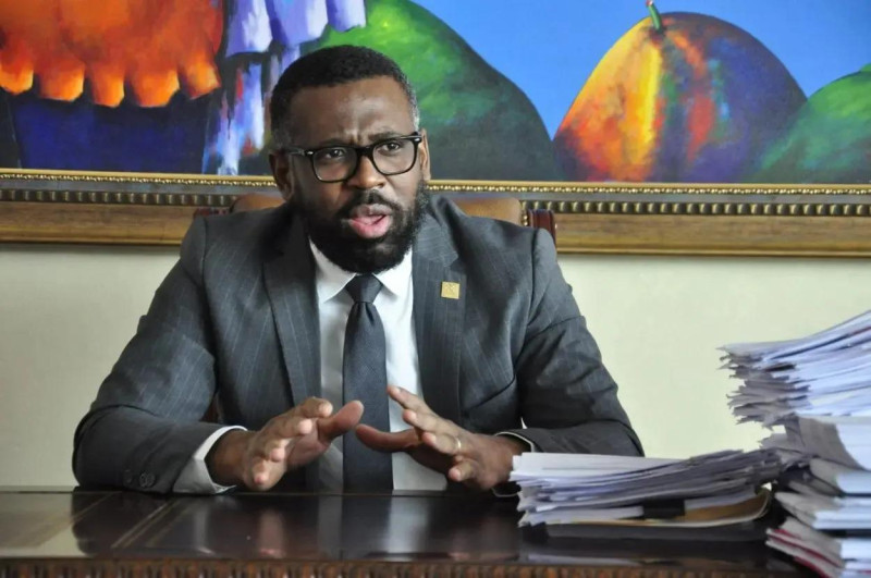 Wilson Camacho, titular de la Dirección General de Persecución del Ministerio Público.