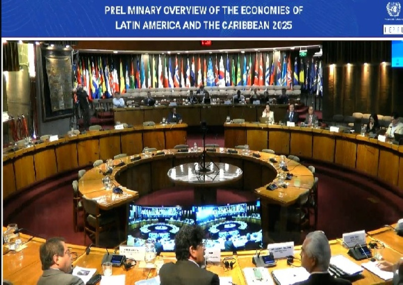 CEPAL en conferencia.