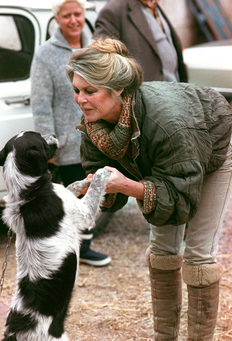 La actriz francesa y activista por los derechos de los animales, Brigitte Bardot, juega con un perro al llegar a la perrera de Cabries (sur de Francia) el 17 de enero de 1989 para promover la adopción de mascotas abandonadas.