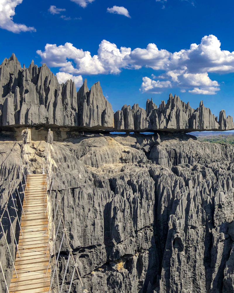 Palmeraie de l'Ivondro