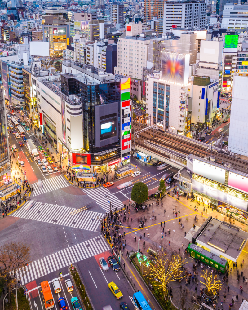 Tokio. Catalogada por ser la ciudad más grande del mundo.