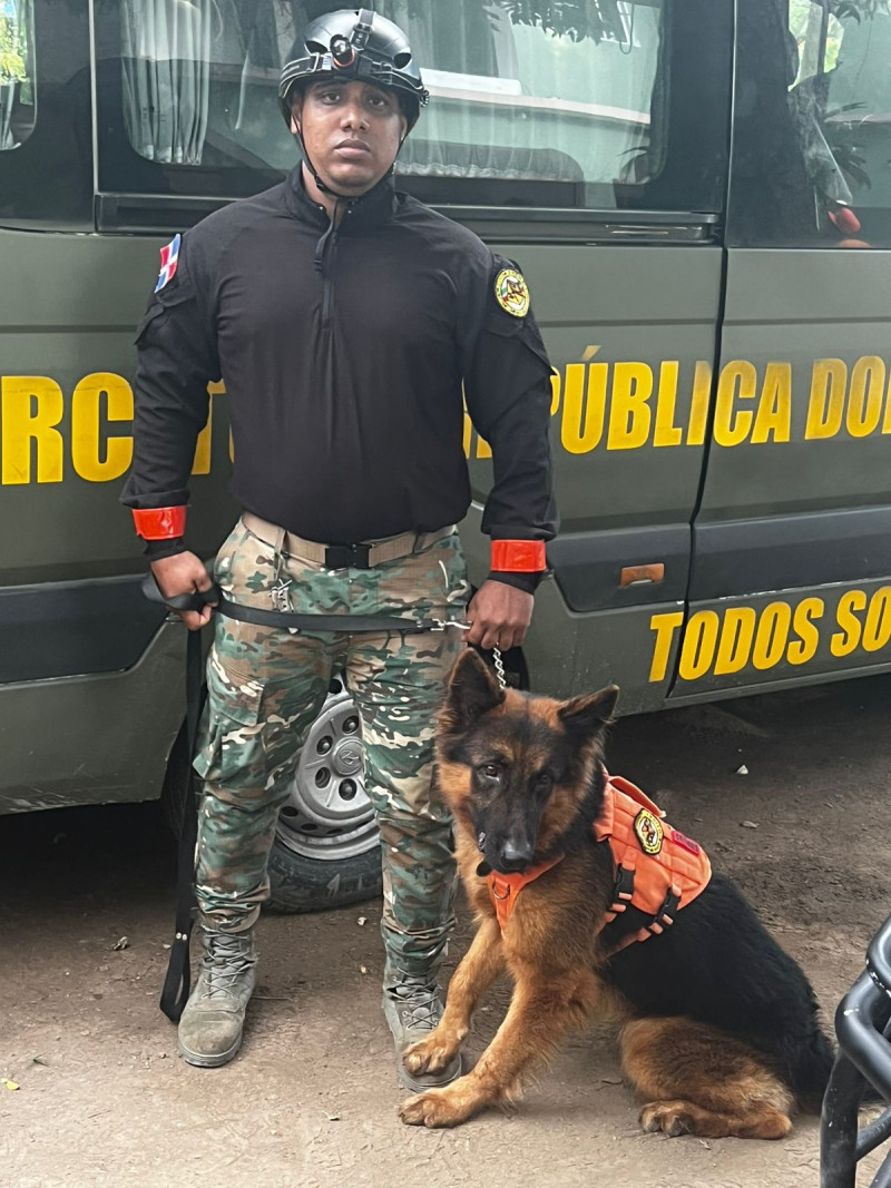 Zeus,es un pastor alemán.