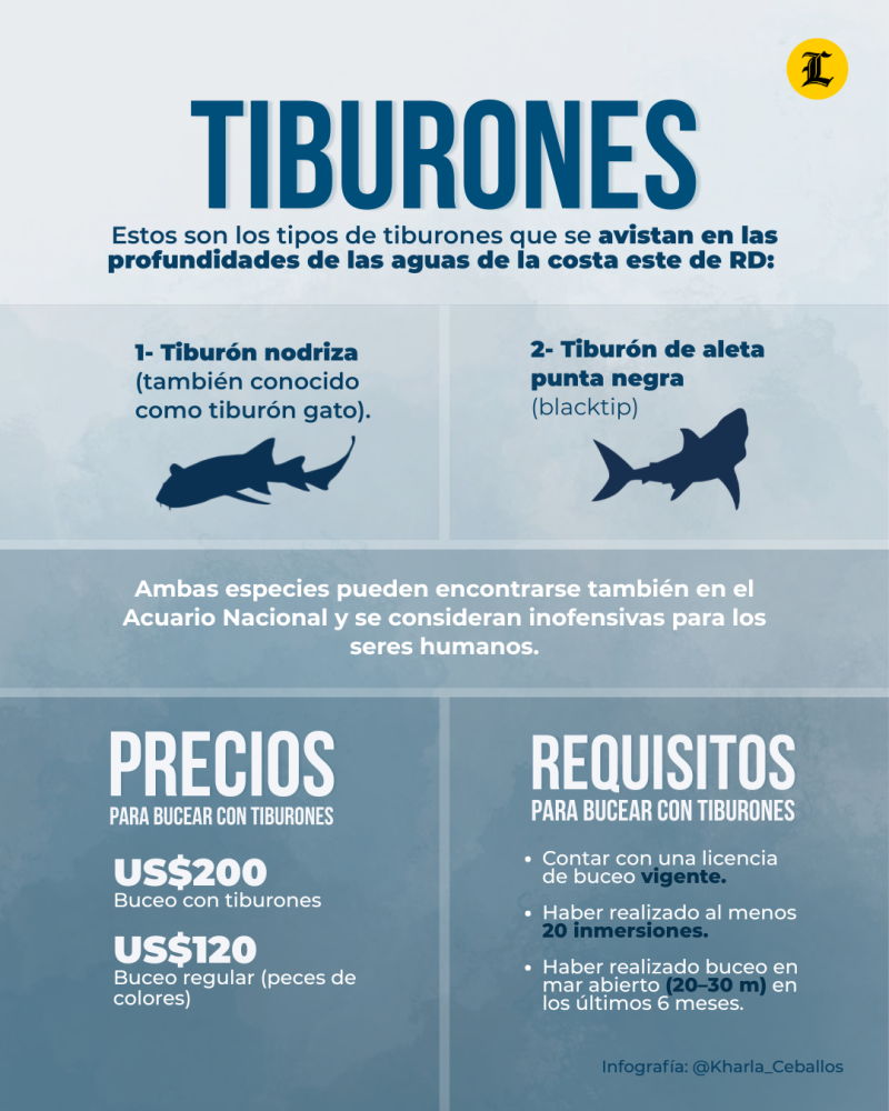 Lo que debes saber sobre el turismo de tiburones en República Dominicana.