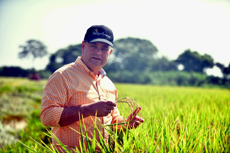 El nuevo ministro de Agricultura, Oliverio Espaillat Bencosme, es un destacado productor de arroz