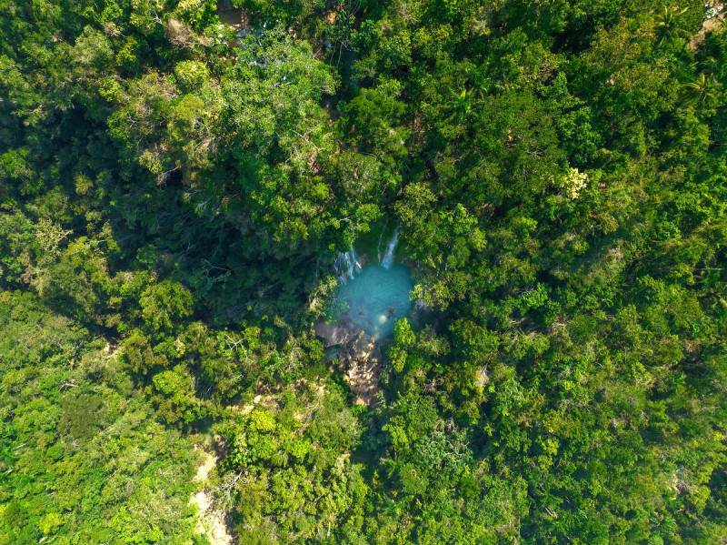 ¿Es la zona de amortiguamiento también área protegida? “En algunos países este territorio es parte integral del área protegida. En otros, no”, responde Mateo. En la imagen: salto El Limón, en Samaná.