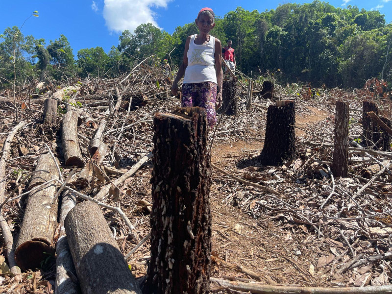 El presupuesto del Ministerio de Medio Ambiente fue rebajado en RD$1,071 millones.