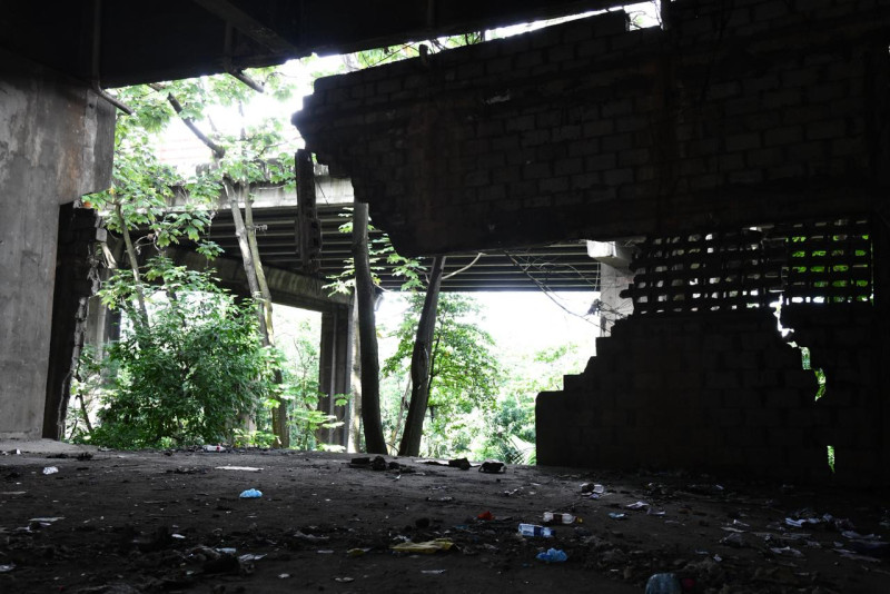 Deterioro Puente Duarte