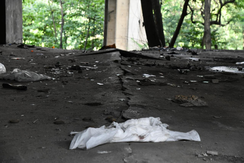 Deterioro Puente Duarte