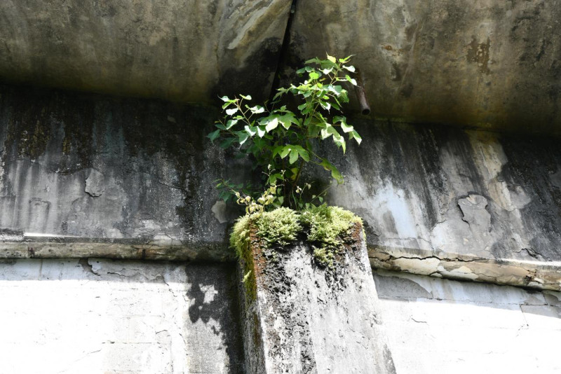 Deterioro Puente Duarte