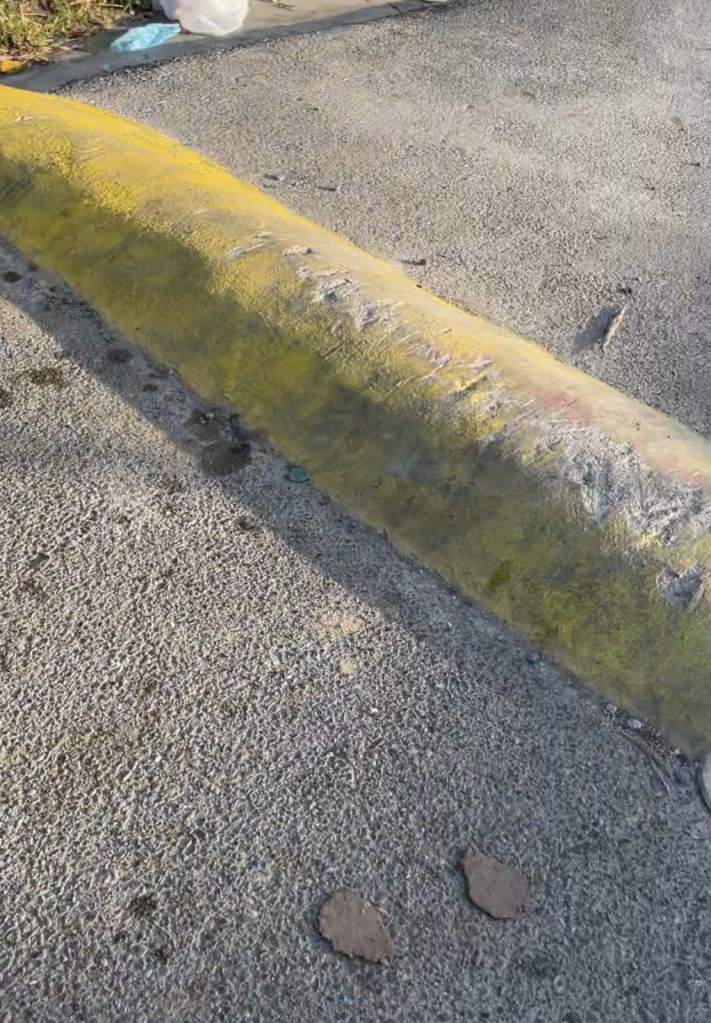 Reductor de velocidad en el Salomé Ureña de Sabana Perdida.