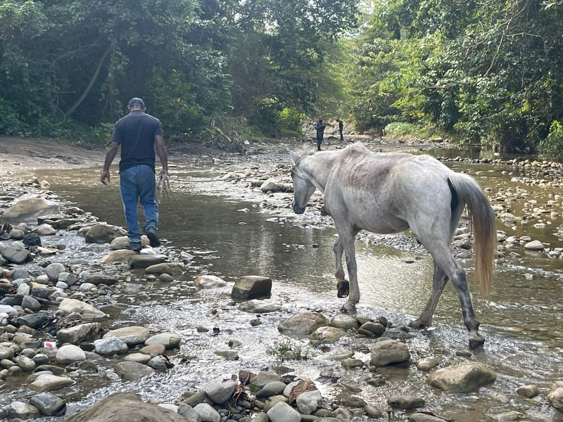 La menor desapareció el 31 de diciembre en la comunidad de Barrero, en Puerto Plata.