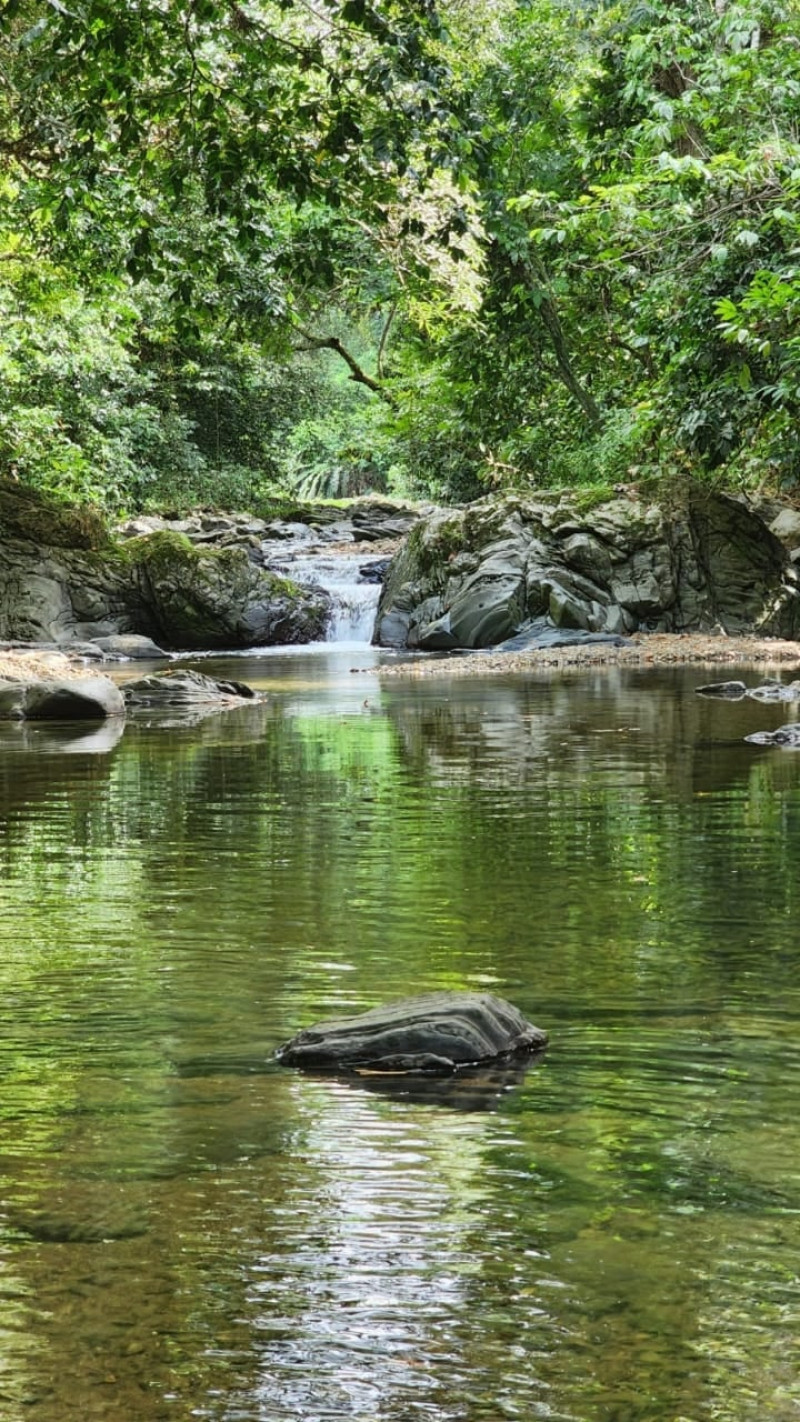 Parte de la naturaleza de Miches.