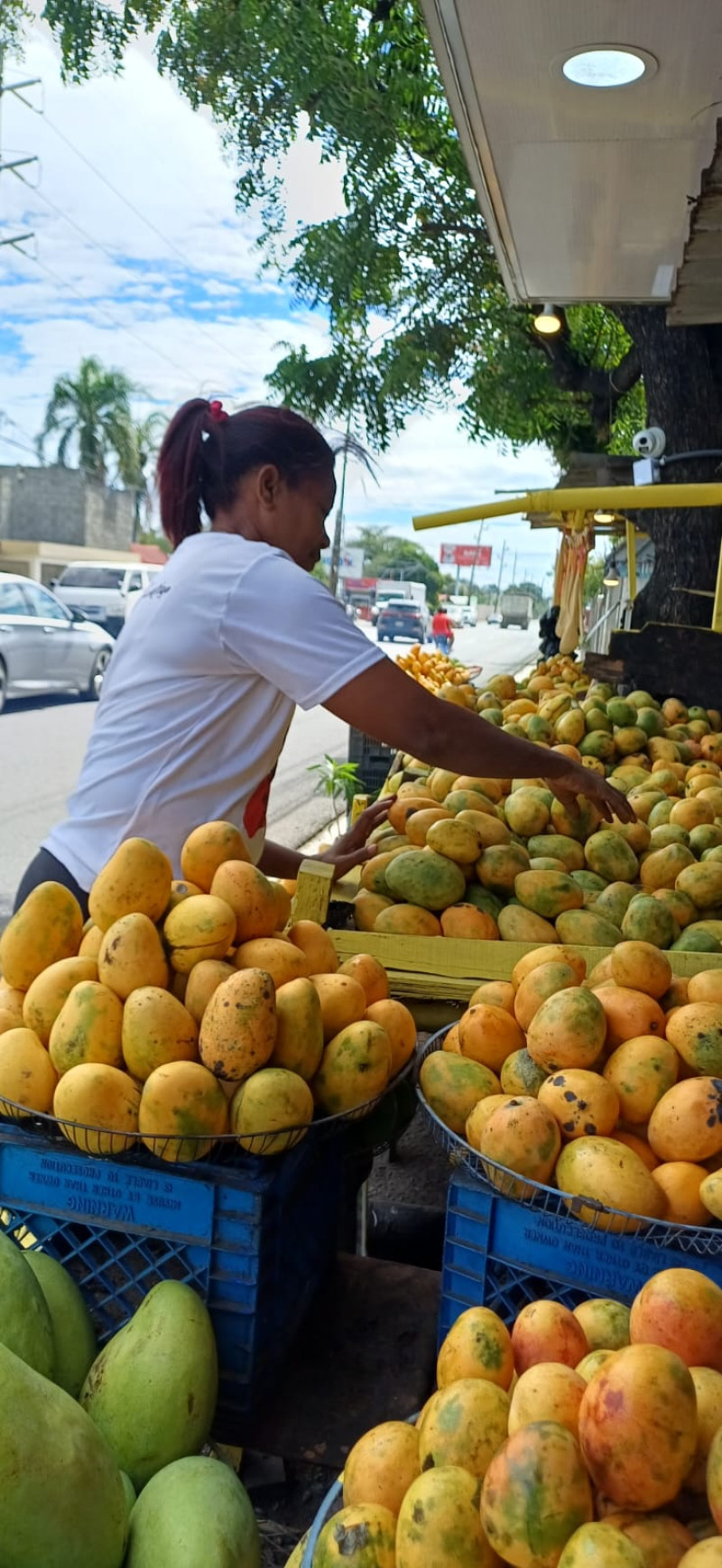 La vendutera de mangos Isabel Guzmán dijo que ha bajado la venta.