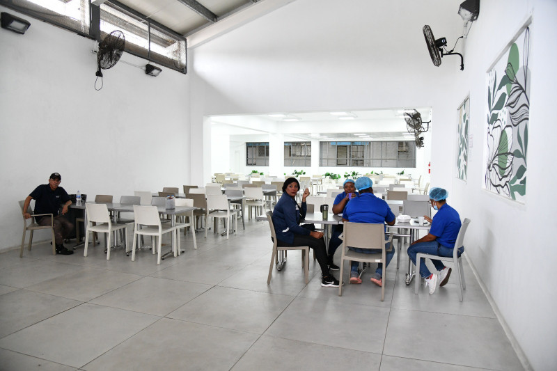 Areas remozadas Robert reid cabral (2)