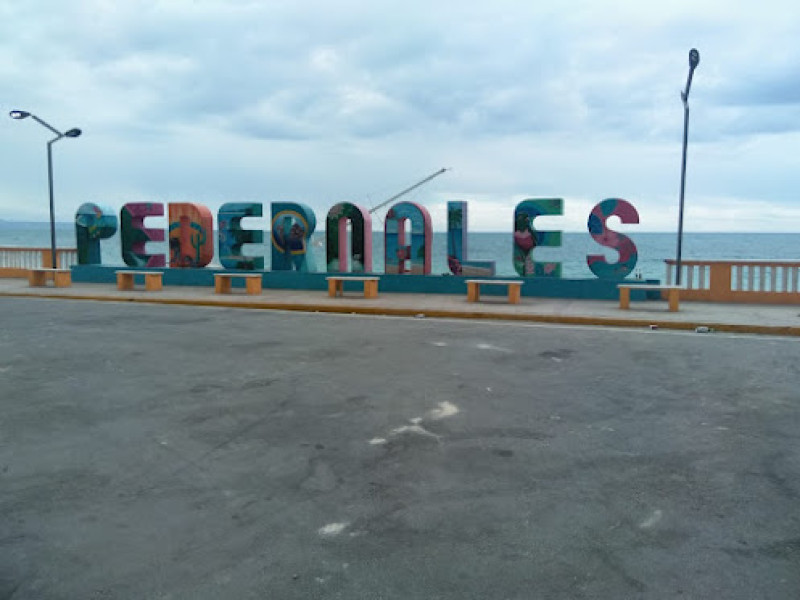 Temblor de tierra se registró esta madrugada en Pedernales pánico en las personas que los sintieron.