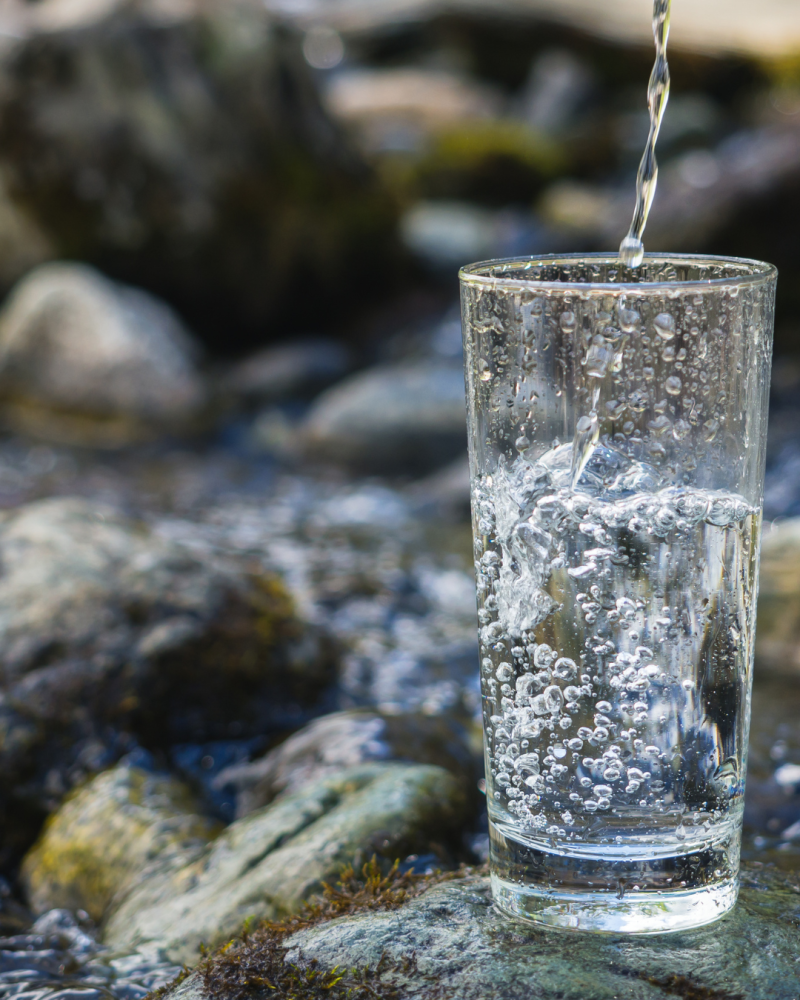 Consumir agua de mar se encuentra enfrentarse a bacterias como Escherichia coli, salmonela y virus documentados como causa de diarrea severa y sepsis.
