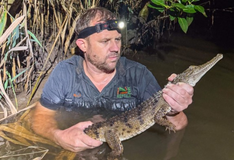 El animal fue capturado el domingo 1 de marzo de 2026.