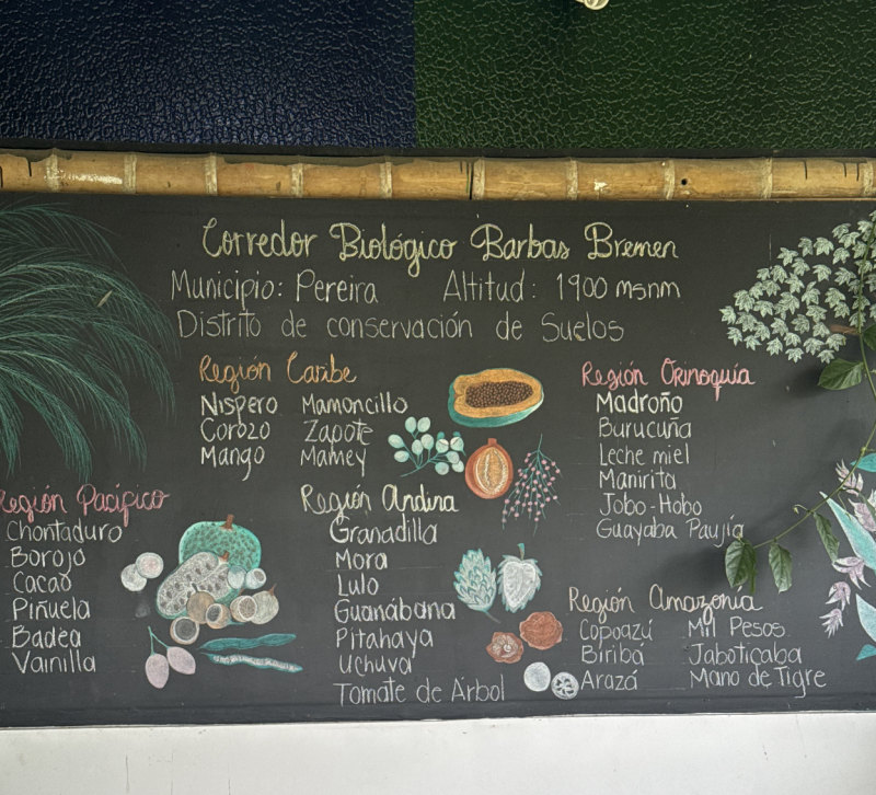 Un viaje por las frutas de Colombia: una cata llena de descubrimientos