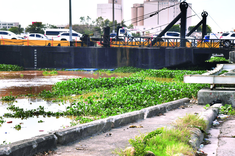 Las lilas y objetos diversos cubrieron de nuevo el río Ozama y llegaron al puente flotante.