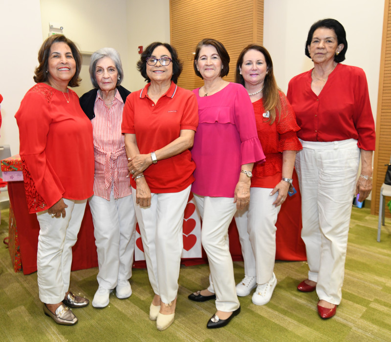 Raiza Mejía, Lupe Franco, Anita de Simó, Wanda González, Miguelina Bencosme y Amanda López.