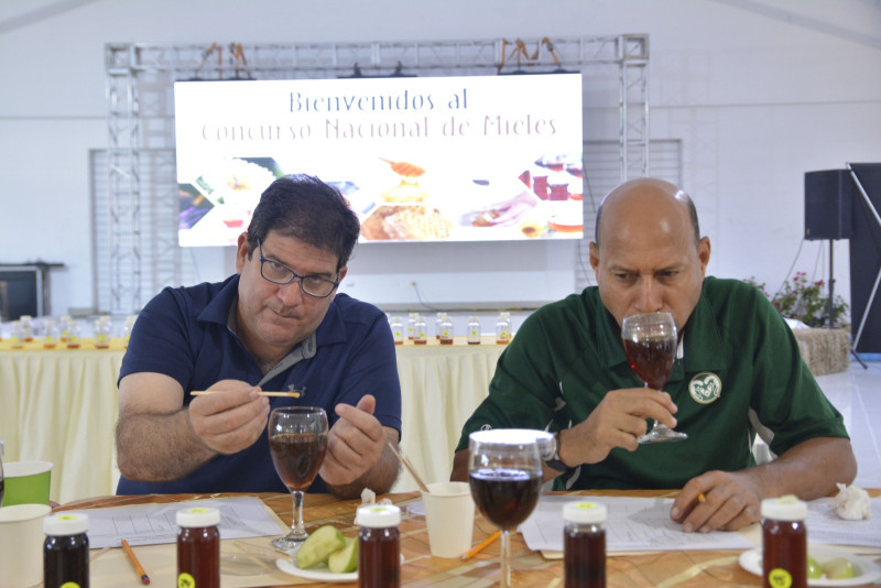 El Concurso Nacional de Mieles es la máxima competencia de la apicultura en República Dominicana.