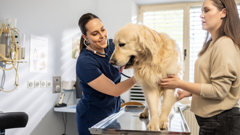 Julio Borbón explica que los Médicos Veterinarios desempeñan un rol primordial en la salud pública porque actúan en la frontera donde se encuentran los animales, las personas y el ambiente.