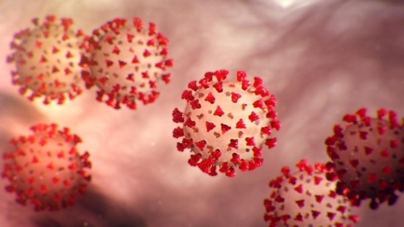 La nueva variante BA.3.2  del Covid-19 es denominada “Cicada” .