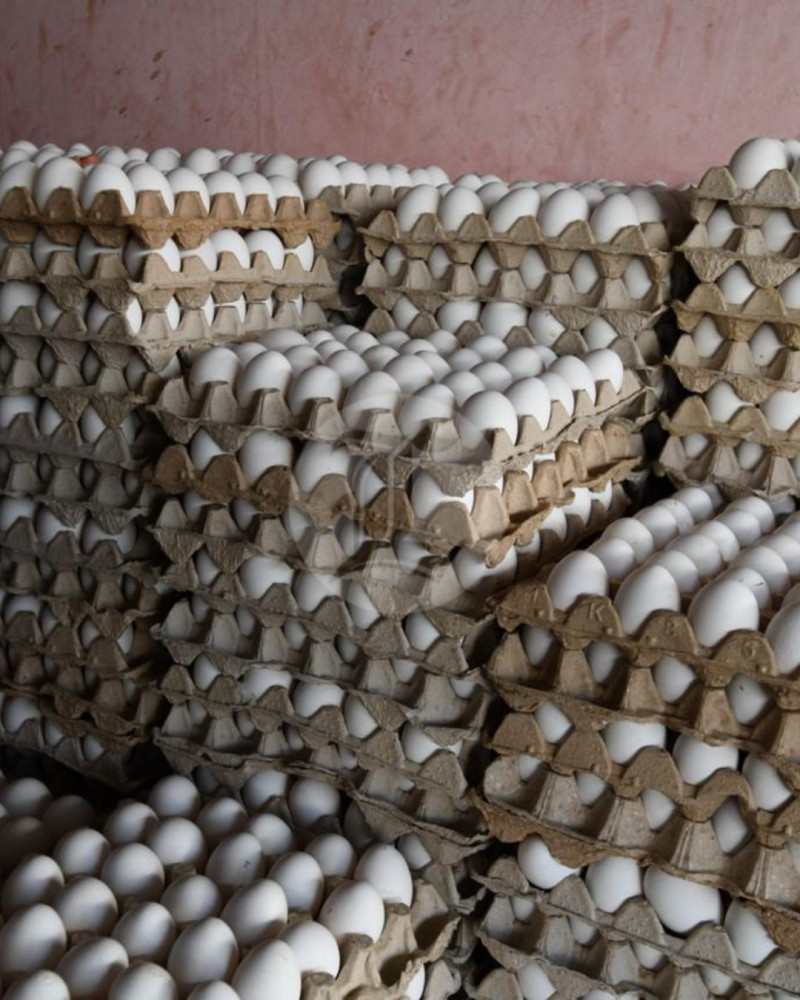 Los precios de los cartones de huevos rondan entre RD$180 y RD$ 220 en mercados y colmados de Santo Domingo. 2 de marzo de 2026.