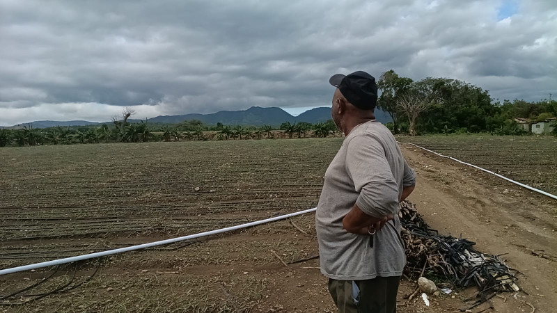 Fuertes lluvias ocasionan pérdidas agrícolas en las provincias Valverde y Montecristi.