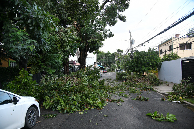 Varios árboles cayeron en Gascue luego de los fuertes vientos provocados por las lluvias de este lunes. Más de 10 vehículos y 5 motores resultaron afectados en una calle del sector.