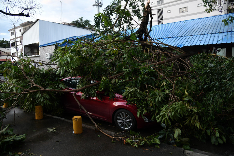 Microrráfaga arrancó arboles y destruyó propiedades en Gascue y la Zona Universitaria